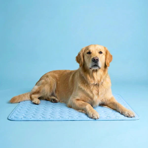 Title Il tappetino che resta fresco — anche dopo ore sotto il tuo cane.